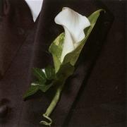  Chic White Calla Lily Buttonhole