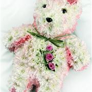 T 02 TEDDY 2