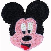 SG 58 MICKY MOUSE