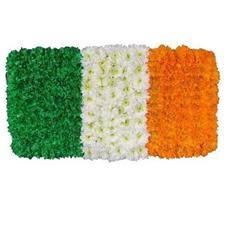 SG036 IRELAND FLAG