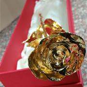 The Gold Rose