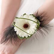 White Germini and Feather Wrist Corsage