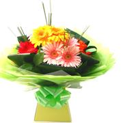 LC15 - Rainbow Gerberas