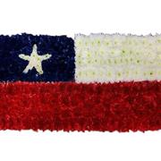 SG130 Chile Flag