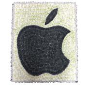 SG146 Apple Symbol