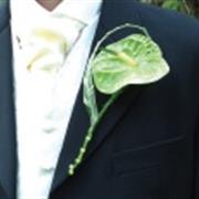 BH 5 Anthurium Buttonhole