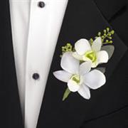 BH 8 Singapore Orchid Buttonhole