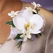 C2 Pure White Corsage