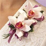 C3 Orchid Corsage