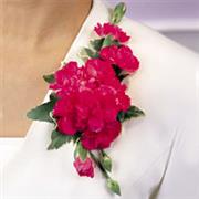 C6 Carnation and sweetpie corsage 