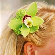 H2 Orchid hair corsage 