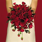 Wildy Beautiful Bridal Bouquet