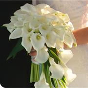 Calla Queen Bridal Bouquet