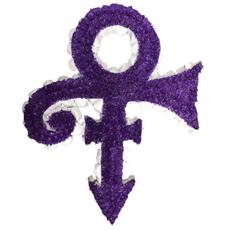 SG172 PRINCE LOGO (CUT OUT)