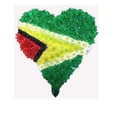 HC 05 GUYANA FLAG HEART