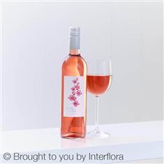 Pink Orchid Zinfandel Rose