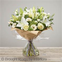 White Radiance Sympathy Hand-tied Extra Large