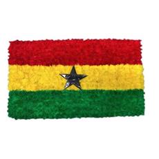 SG182 Ghana Flag
