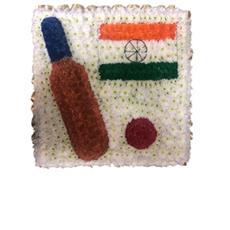 SG203 Cricket Bat with India Flag