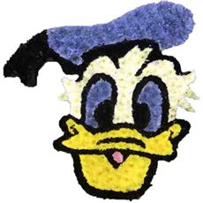 SG213 Donald Duck