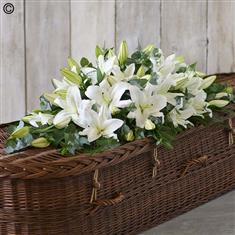 Classic Lily Casket Spray White 