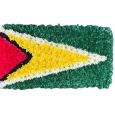 SG224 Guyana Flag Tribute