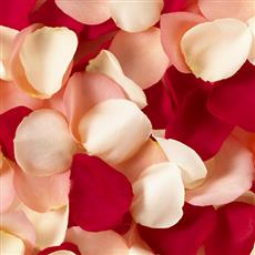 RP01 Mixed Rose Petals