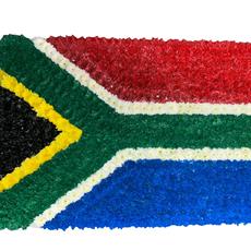 SG227 South Africa Flag Tribute