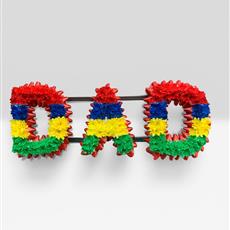 LD 23 Mauritius Flag Dyed Lettering