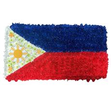 SG231 Philippines Flag Tribute
