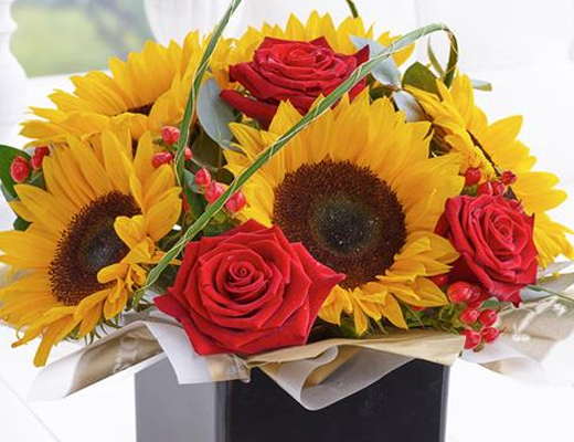 Autumn Flowers